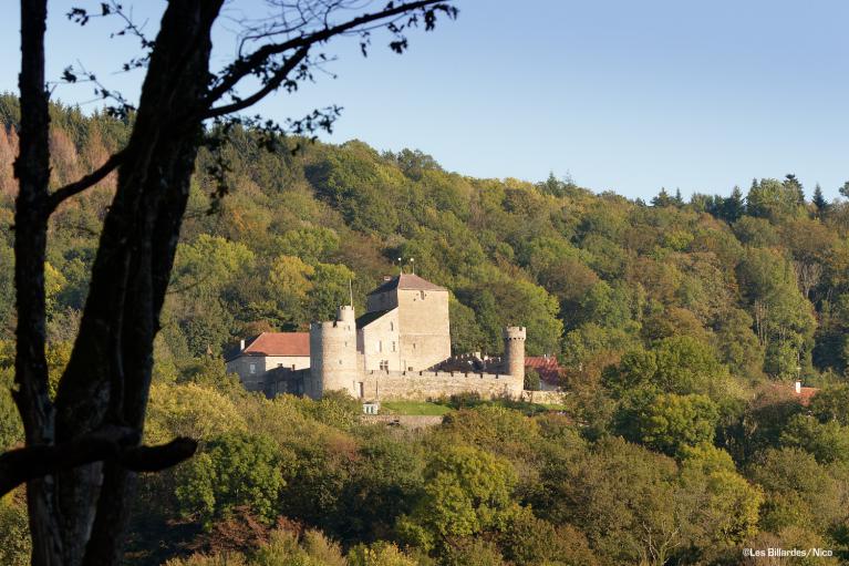 Château de Rosay