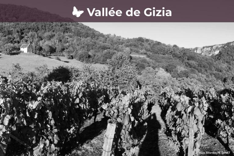 La vallée de Gizia