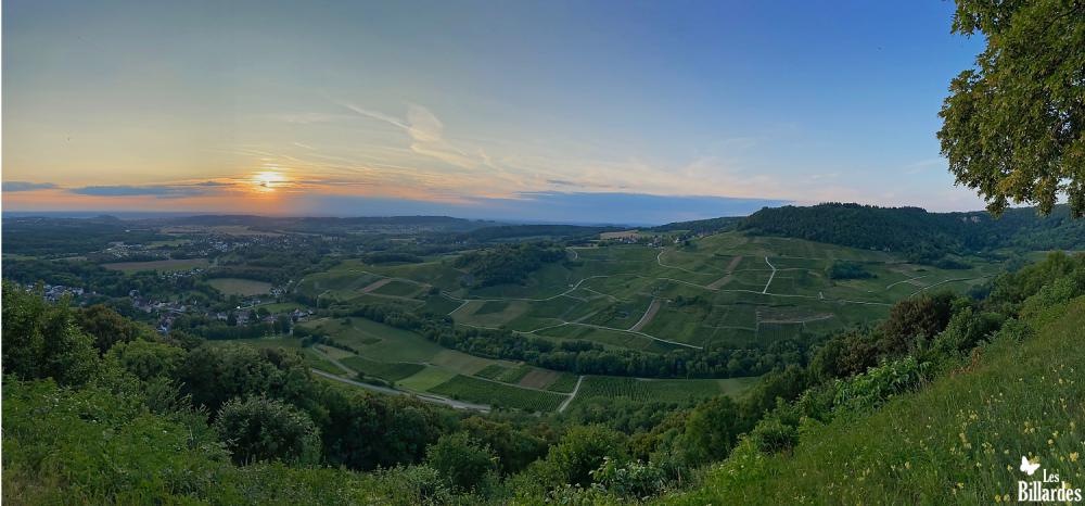 Fin de journée sur le vignoble de Château-Chalon