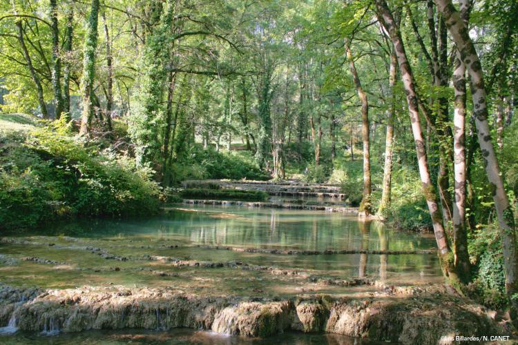 Rivière en sous-bois