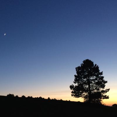 Le soleil se couche... la lune est levée