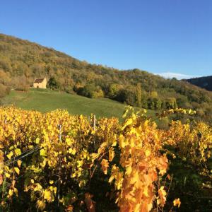 Paysage d'automne panoramique
