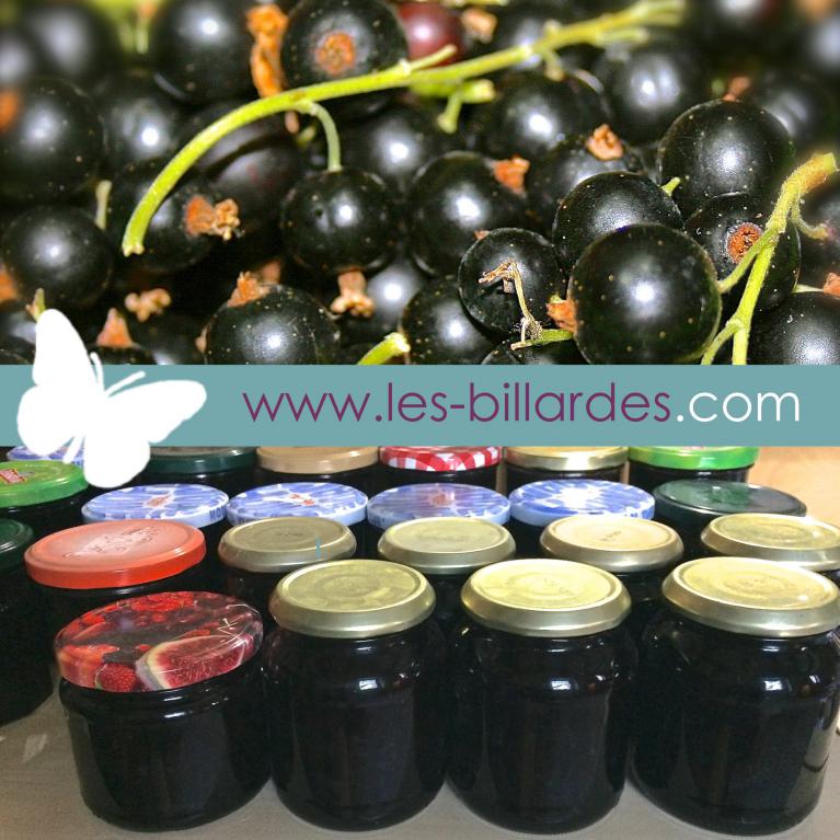 Confiture maison